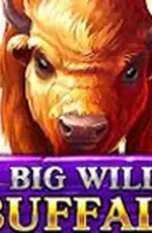 Big Wild Buffalo